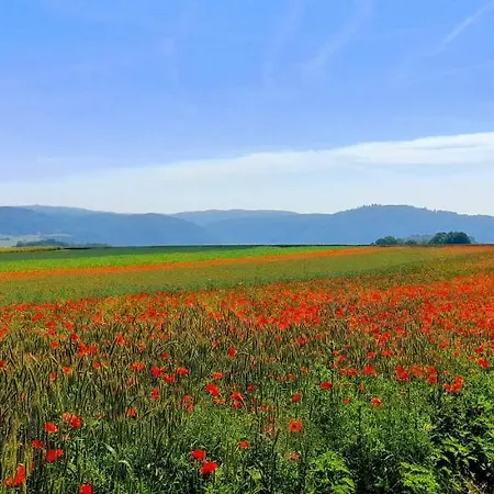 Aroma Moselblick Бурген