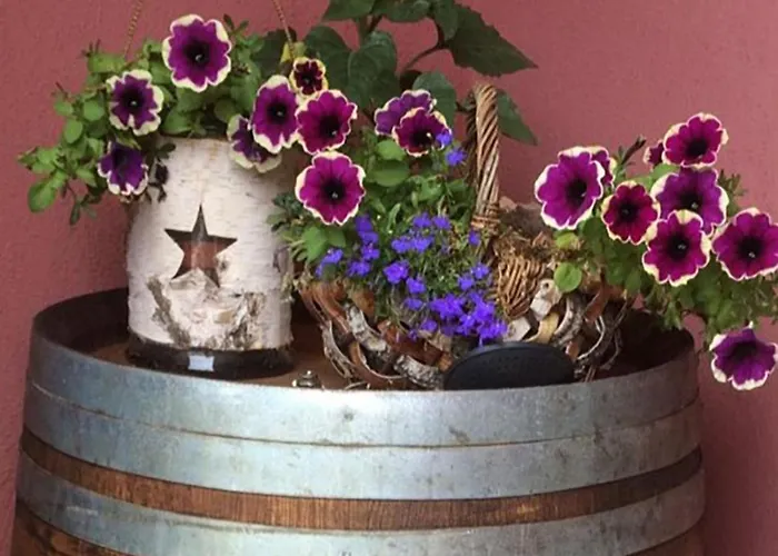 Aroma Moselblick Casa de Férias