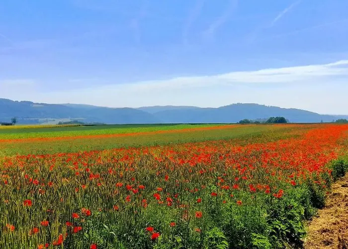 Aroma Moselblick Burgen (Mayen-Koblenz)